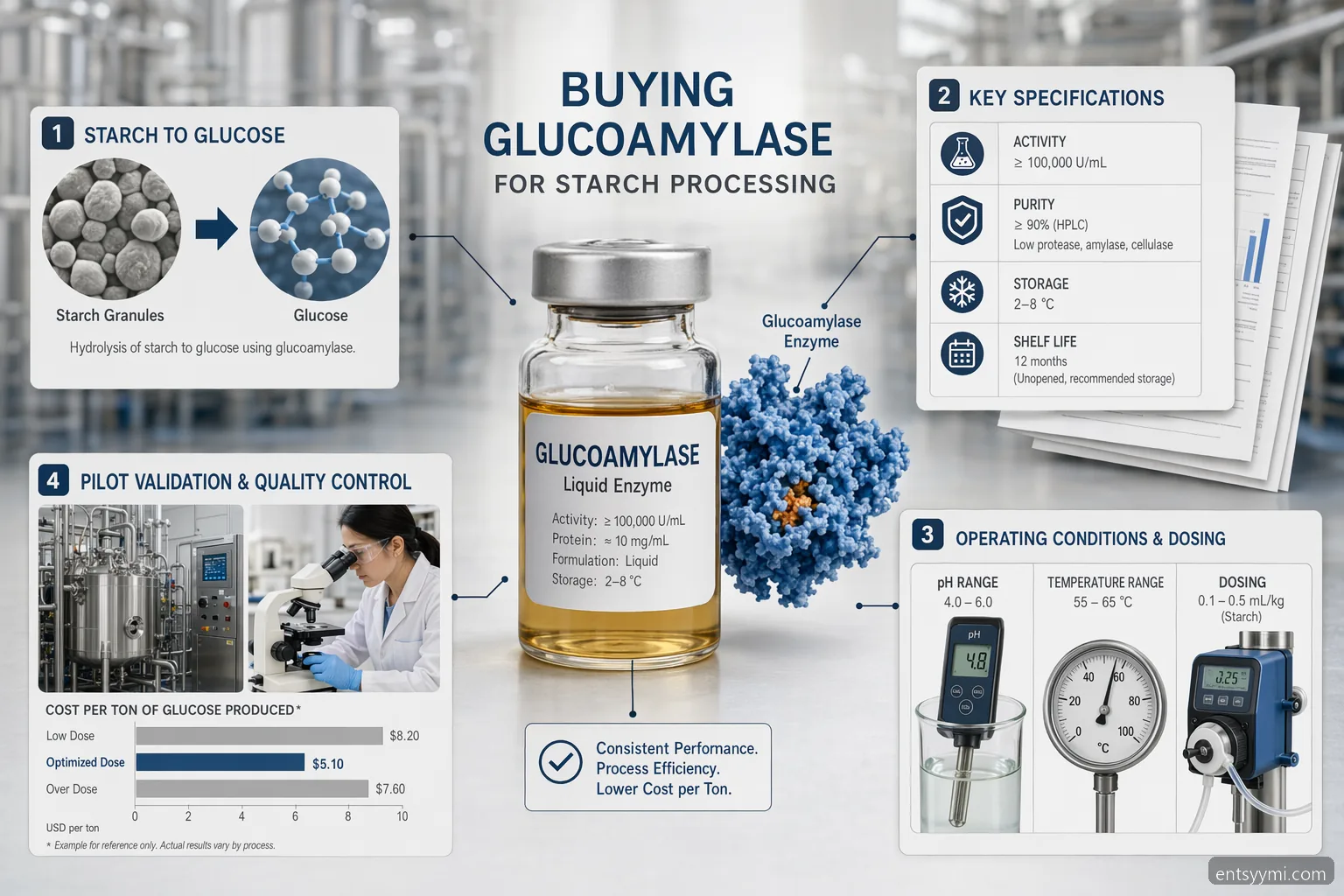 industrial entsyymi starch processing -tarkistuslista, jossa näkyvät glucoamylase-spesifikaatiot, prosessialueet, validointi ja kustannus